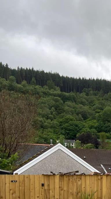 Brynhyfryd Cottage Aberaman Luaran gambar